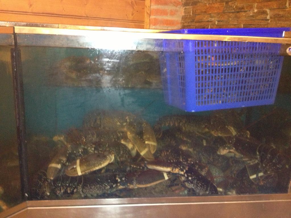 Hosteria San Emeterio Isla Plana エクステリア 写真