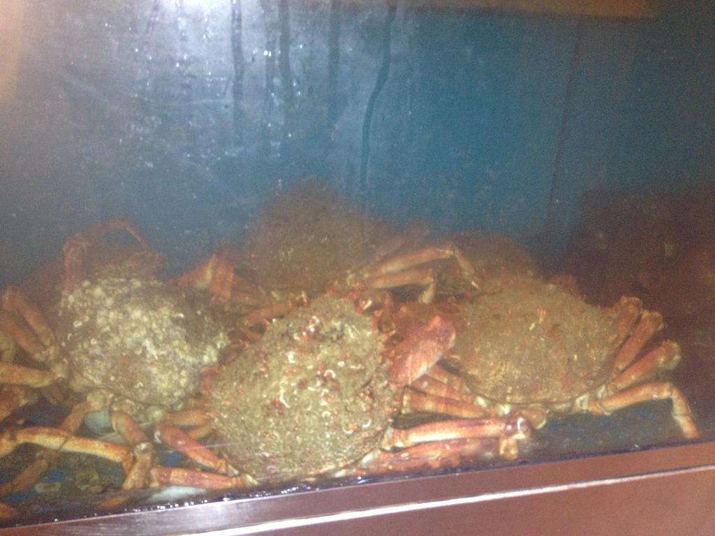 Hosteria San Emeterio Isla Plana エクステリア 写真
