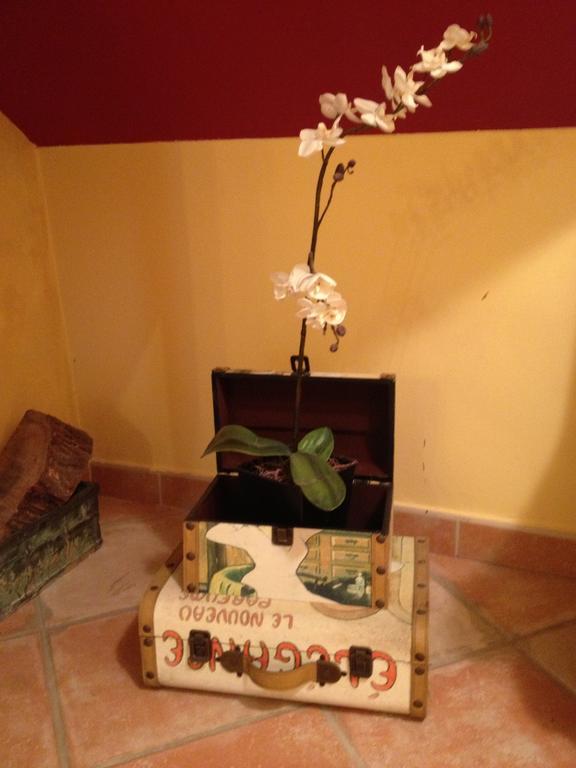 Hosteria San Emeterio Isla Plana エクステリア 写真